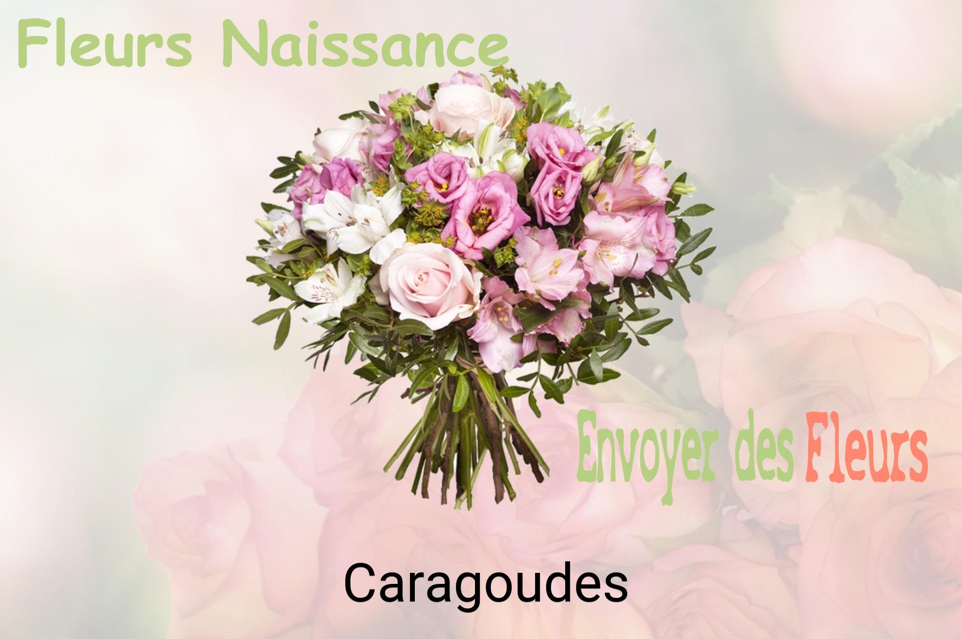 Bouquet de fleurs de naissance livré à Caragoudes
